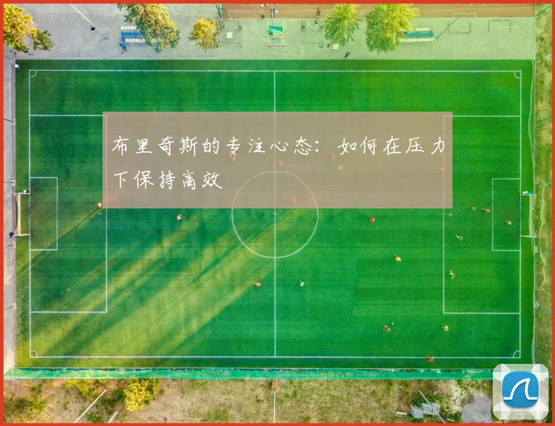 布里奇斯的专注心态：如何在压力下保持高效